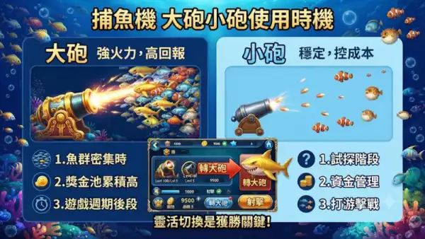 大砲小砲使用時機
