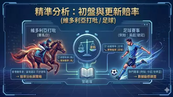 賠率表實戰應用